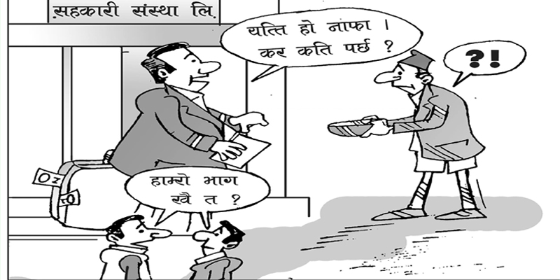सहकारीमा चरम बेथिति : संकटमा सदस्य